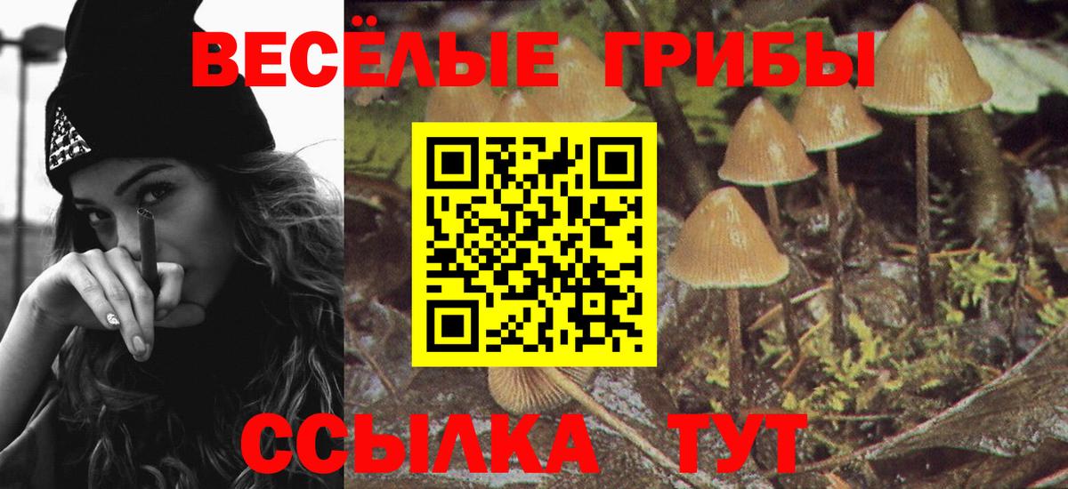 NBOMe Кимры