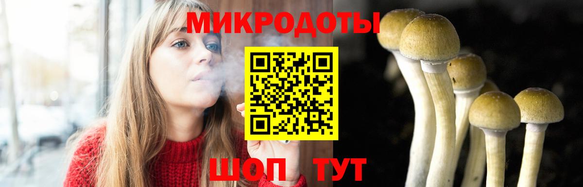Галлюциногенные грибы Psilocybine cubensis  Псилоцибиновые грибы Cubensis  Кимры  Вход с VPN 
